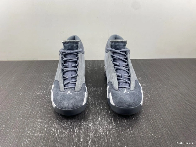 Kick Theory 14 Jordan Grey Flint Air FJ3460-012 0716